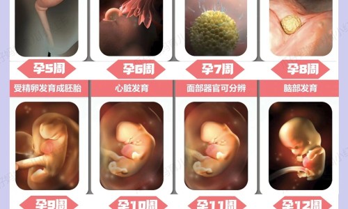 10个月宝宝身高矮网 - 网站提供10个月婴儿身高小常识、10个月宝宝身高矮正常吗